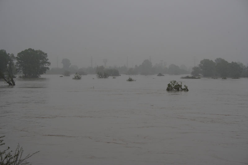 spis.php?category_id=432