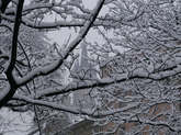 photo.php?category_id=161&file_id=2596&fileBackPage=1&filesPage=13