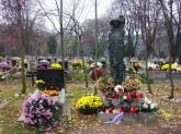 photo.php?category_id=215&file_id=4065&fileBackPage=1&filesPage=1