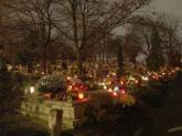 photo.php?category_id=215&file_id=4104&fileBackPage=1&filesPage=40