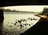 photo.php?category_id=219&file_id=4161&fileBackPage=1&filesPage=20