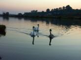 photo.php?category_id=234&file_id=4559&fileBackPage=1&filesPage=1