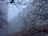 photo.php?category_id=235&file_id=4581&fileBackPage=1&filesPage=1