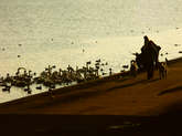 photo.php?category_id=243&file_id=4778&fileBackPage=1&filesPage=6