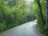 photo.php?category_id=244&file_id=4804&fileBackPage=1&filesPage=11
