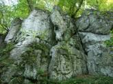 photo.php?category_id=244&file_id=4830&fileBackPage=1&filesPage=37