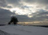 photo.php?category_id=263&file_id=5365&fileBackPage=1&filesPage=2