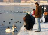 photo.php?category_id=263&file_id=5409&fileBackPage=1&filesPage=46