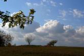photo.php?category_id=305&file_id=6540&fileBackPage=1&filesPage=3