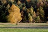 photo.php?category_id=306&file_id=6616&fileBackPage=1&filesPage=31