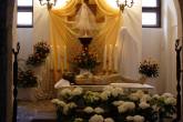 photo.php?category_id=320&file_id=7035&fileBackPage=1&filesPage=25