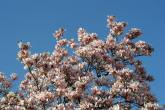 photo.php?category_id=325&file_id=7218&fileBackPage=1&filesPage=9