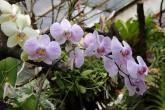 photo.php?category_id=350&file_id=7822&fileBackPage=1&filesPage=15
