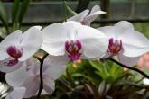 photo.php?category_id=350&file_id=7824&fileBackPage=1&filesPage=17