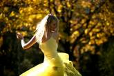 photo.php?category_id=343&file_id=7606&fileBackPage=1&filesPage=8