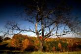 photo.php?category_id=343&file_id=7622&fileBackPage=1&filesPage=24