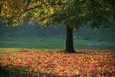 photo.php?category_id=390&file_id=8821&fileBackPage=1&filesPage=5