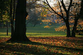 photo.php?category_id=390&file_id=8824&fileBackPage=1&filesPage=8