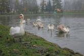 photo.php?category_id=392&file_id=8855&fileBackPage=1&filesPage=7