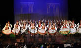 photo.php?category_id=413&file_id=9425&fileBackPage=1&filesPage=9