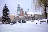 photo.php?category_id=407&file_id=9194&fileBackPage=1&filesPage=6