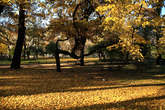 photo.php?category_id=411&file_id=9396&fileBackPage=1&filesPage=29
