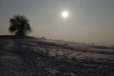 photo.php?category_id=424&file_id=9703&fileBackPage=1&filesPage=5