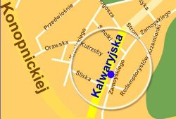 wicej